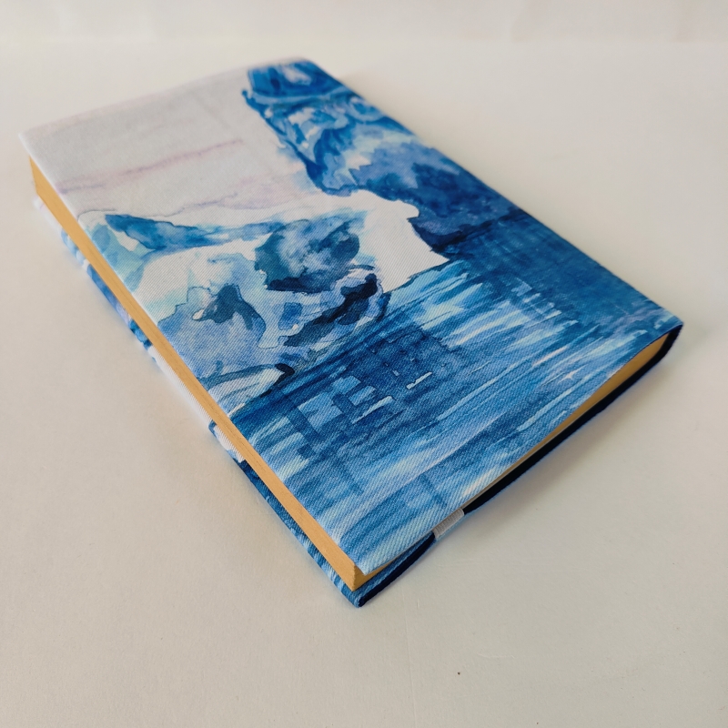 Book Cover Designed by Akanksha Children (Glacier) - Image 5